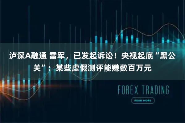 泸深A融通 雷军,已发起诉讼!央视起底“黑公关”:某些虚假测评能赚数百万元