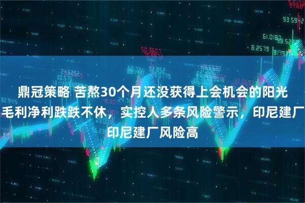 鼎冠策略 苦熬30个月还没获得上会机会的阳光焦化:毛利净利跌跌不休,实控人多条风险警示,印尼建厂风险高
