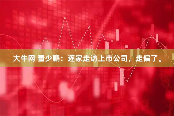 大牛网 董少鹏:逐家走访上市公司,走偏了。