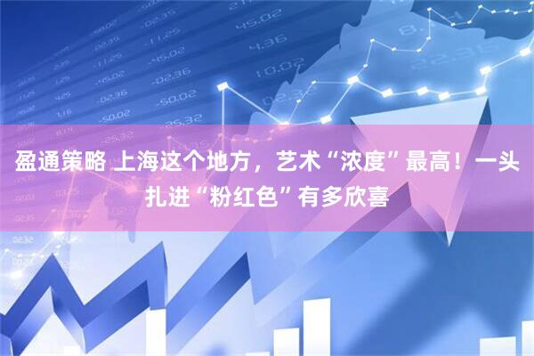 盈通策略 上海这个地方,艺术“浓度”最高!一头扎进“粉红色”有多欣喜