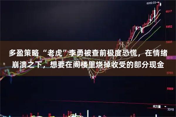 多盈策略 “老虎”李勇被查前极度恐慌，在情绪崩溃之下，想要在阁楼里烧掉收受的部分现金